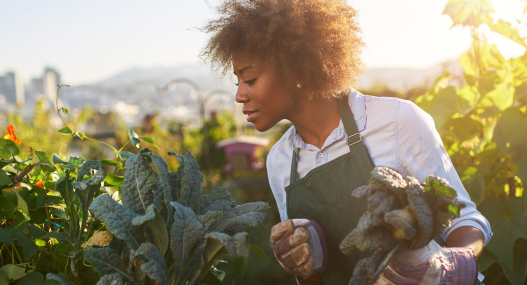 Advanced Analytics for Sustainable Retail