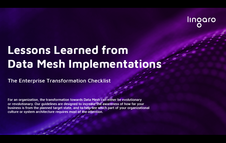 Lessons Learned From Data Mesh Implementations