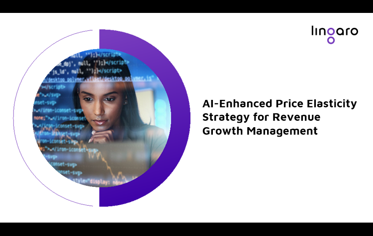 AI-Enhanced Price Elasticity Strategy for Revenue Growth Management