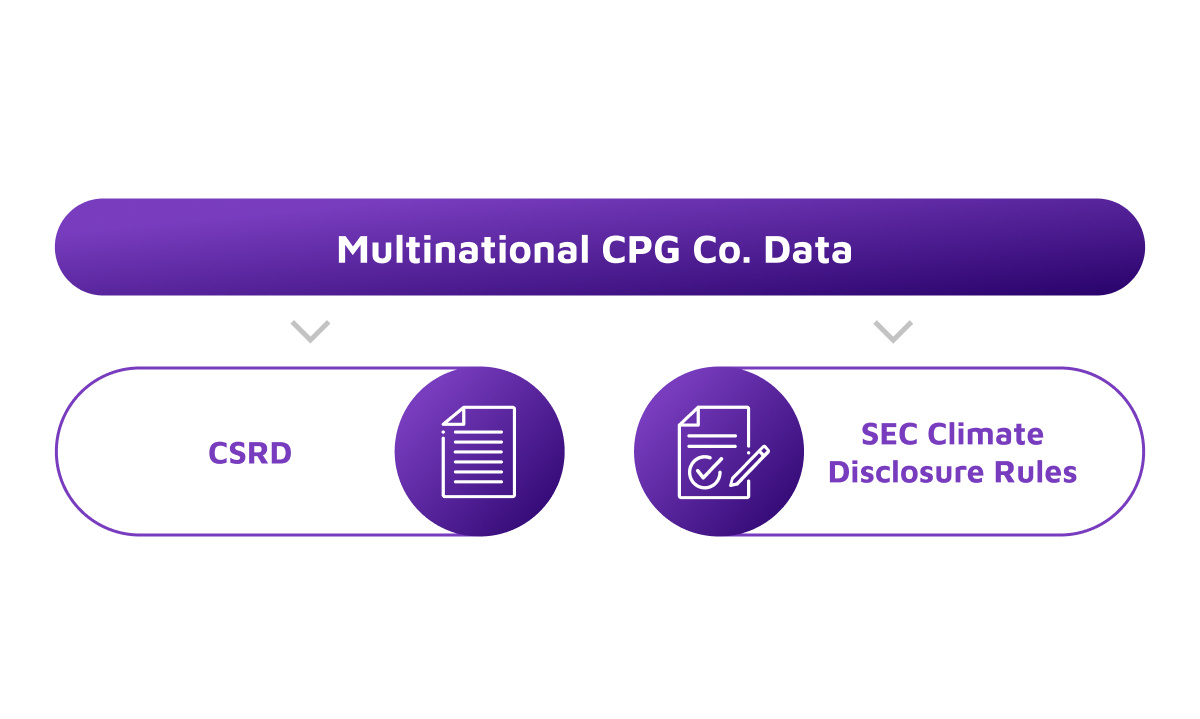 Multinational CPG Co. Data_934 1