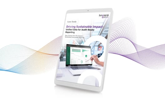 Case Study: The Hidden Cost of Fragmented Sustainability Reporting