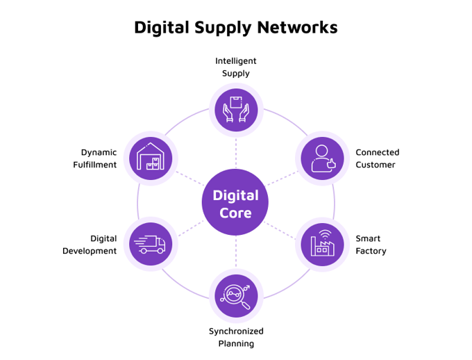 digital supply networks