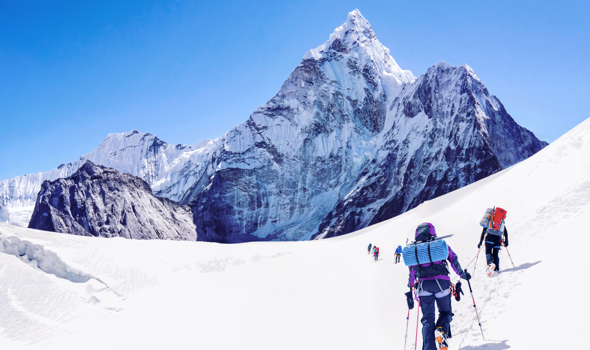Lingaro Recognized as ‘Major Contender’ in Everest Group’s PEAK Matrix® Assessment
