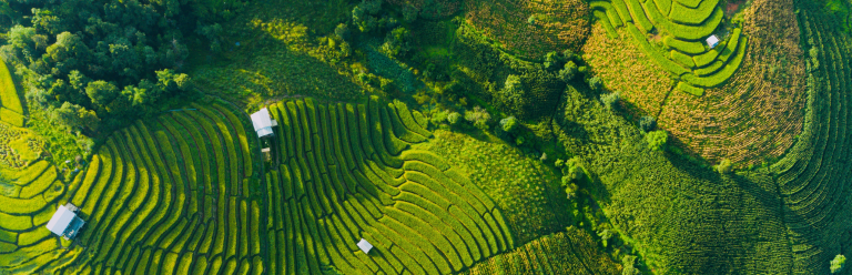 Managing Land Use and Mitigating Deforestation With Analytics-2