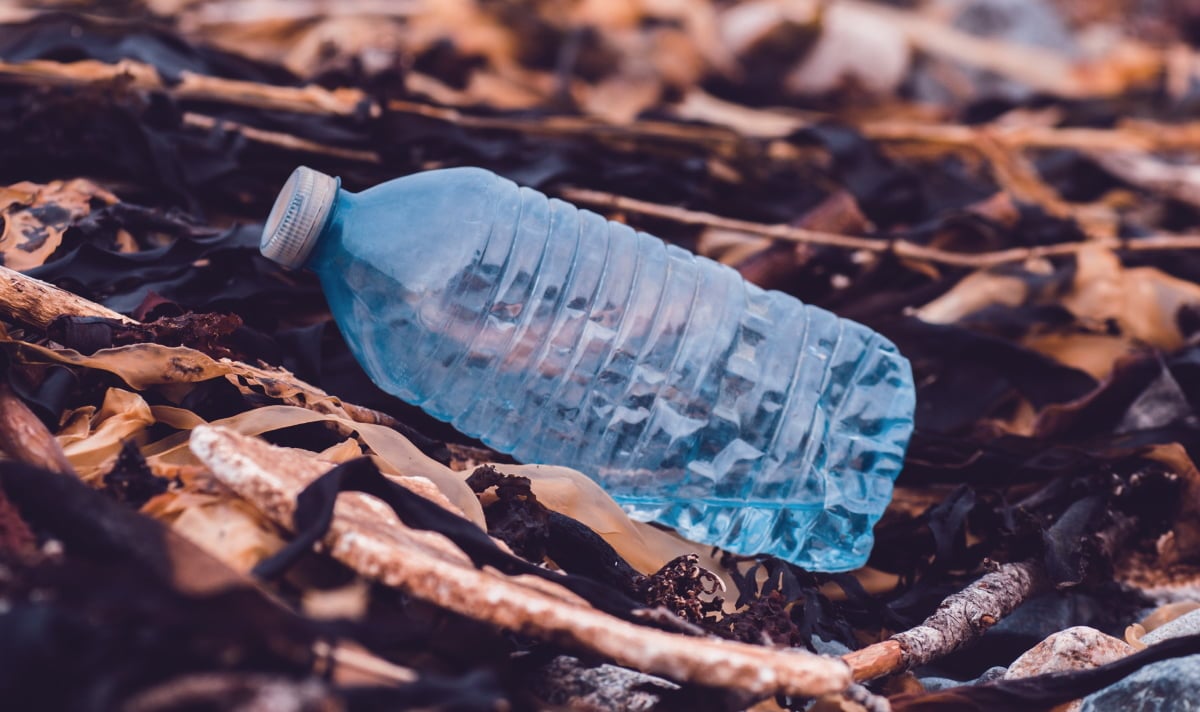 Data-Driven Ways for Navigating Sustainable Plastic Recycling