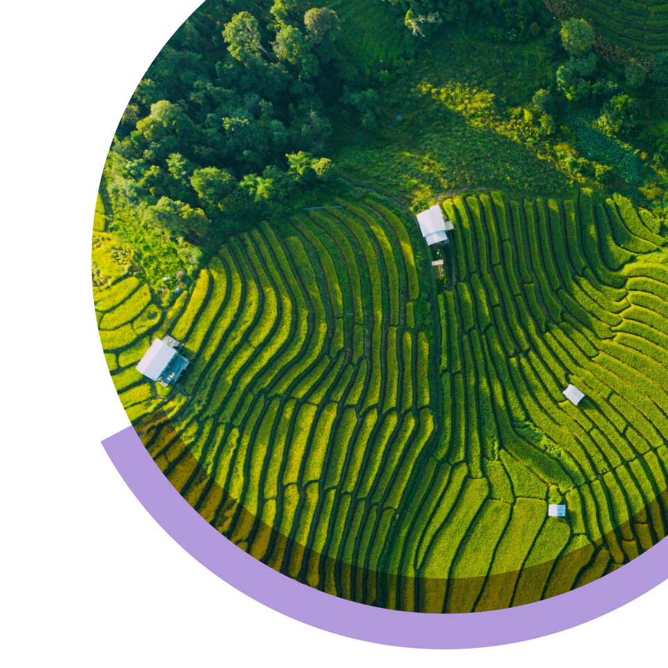 Managing Land Use and Mitigating Deforestation With Analytics-1