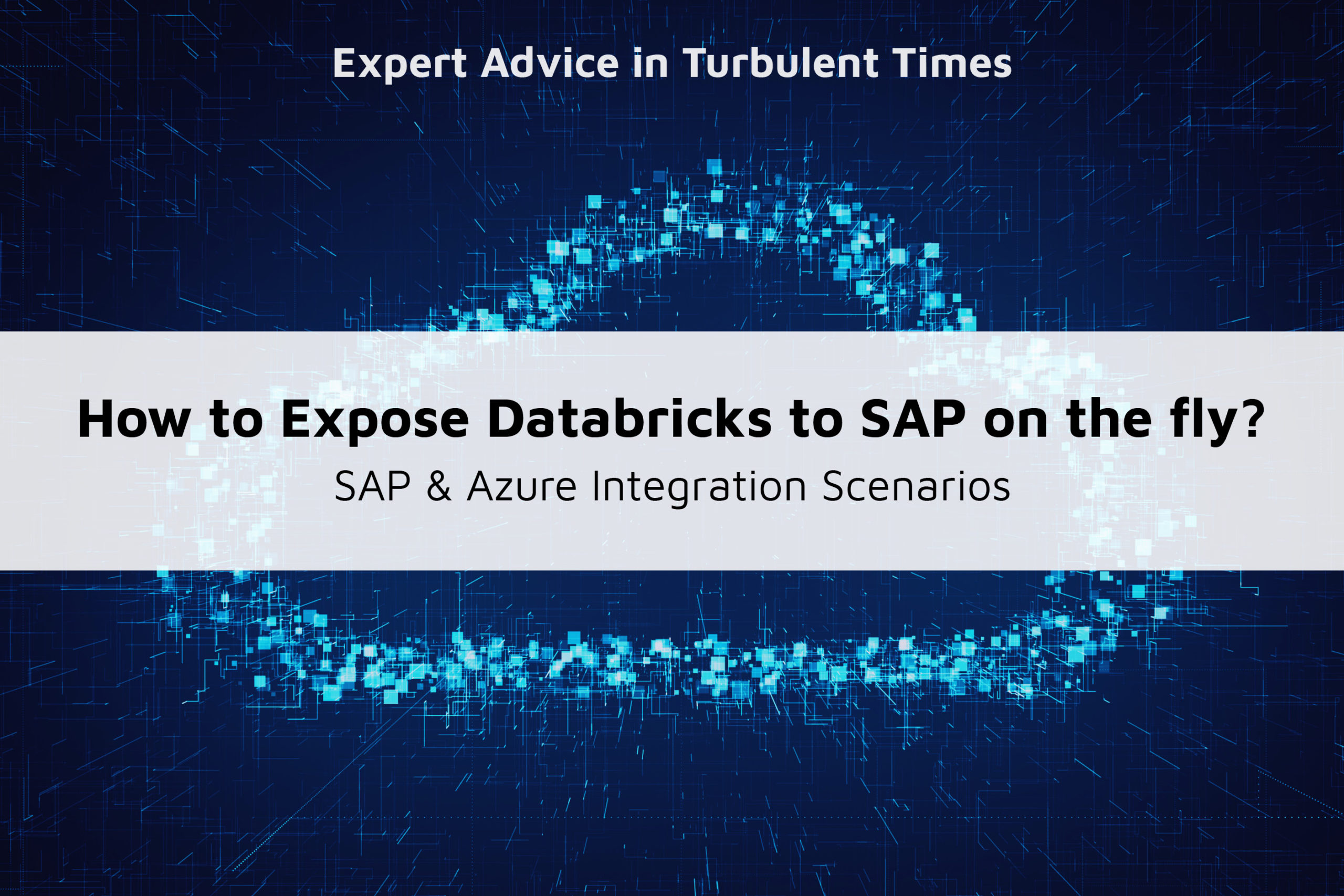How to Expose Azure Databricks to SAP on the Fly?